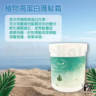 【麗髮苑】FLORA 深層修護 植物高蛋白護髮霜(1000ml) 正常髮 受損髮皆適用 補充養分