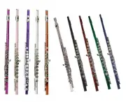 New Student Flute with Case in Black Red Blue Green Silver Pink Purple