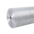 Chicken Fence Mesh Wire Netting Raised 4-ftx100-ft 19-Gauge Welded Metal Silver