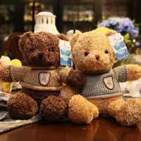 在飛比找蝦皮購物優惠-小熊玩偶批發毛衣泰迪熊公仔毛絨玩具大熊抱枕布娃娃婚慶禮品禮物