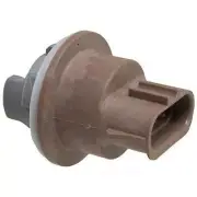 Parking Light Bulb Socket CARQUEST PTC1045 (for: Ford)