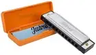 Viento 10 Hole 20 Tone Diatonic Harmonica Key of C Scale Comb Abs Mouth Organ