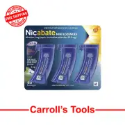 Nicabate Mini Lozenge Stop Smoking Nicotine 4mg Extra Strength Mint 60 Pack