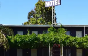 巴羅莎蓋特威汽車旅館Barossa Gateway Motel