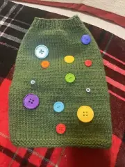 Dog Handmade Sweater Medium Green One Of A Kind Buttons