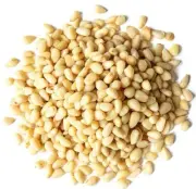 Premium Organic Pine Nuts from Mongolia Unsalted, Vegan, Siberian Pine Nuts