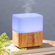 X Echo Bamboo Humidifier & Speaker 300ml