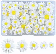 [FAZHBARY] 100 PCS Daisy Resin Flowers with No Holes Small Flatback Resin Charms Bulk Embellishments for Crafts DIY Scrapbooking Accessorie
