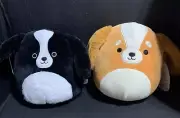 2 Cocker Spaniel Dog Squishmallows Nathaniel Black & Ysabel Tan With Tags New