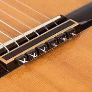 Alba Guitar Beads Classical Guitar Beads in Brown Gloss for Acoustic Guitar Flamenco Guitar with Nylon Strings