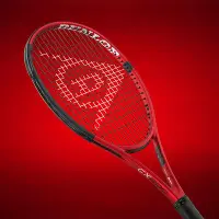 在飛比找Yahoo!奇摩拍賣優惠-Dunlop鄧祿普網球拍CX200系列明星安德森王薔登路普全