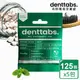 【丹特一錠淨Denttabs】牙膏錠-成人薄荷含氟x5包(125顆/包)-環保牙膏