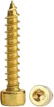 5 pcs M2 M3 M4 M5 M6 M8 Brass Plated Carbon Steel Golden Speaker Inner Hexagon Socket Cup Head Pointed Self-Tapping Wood Screw Bolt(25mm,M3 20pcs)