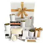 Luxury soy candle making kit with electroplated candle jars + FREE SHIPPING