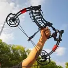 Compound Bow Dual-use Ball Arrow 30-50lb Short Axis Hunting Fishing Ambidextrous