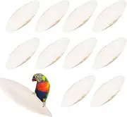 Cuttlebone Chew Toy - 10pcs Natural Cuttlefish Bone l Bird Beaks Cuttlefish Bone & Chew Toy for Beak Calcium Cuttlebone for Cockatiel, Birds, Snail