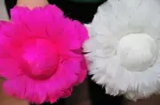 Hot Pink 6 inch Rose Ball/Ornaments/Feather Flower 6 Pieces