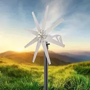 Equipment Wind Generator Turbines Kit,2000W 12V/24V/48V Power Windmill Wind Turbine Windmill Generator for Cabins Or Home Wind System (White),24v