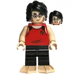 LEGO人偶 HP413 哈利波特 哈利波特系列【必買站】樂高人偶