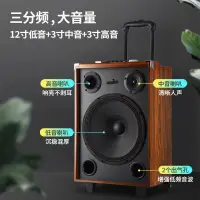 在飛比找露天拍賣優惠-正品 音箱拉桿音箱 戶外音箱 藍牙喇叭音箱 廣播音箱三分頻音