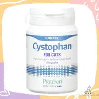 在飛比找蝦皮購物優惠-Protexin Cystophan for Cats 安泌