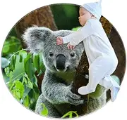 Round Soft Area Rugs for Kids Baby Girls Teen's Room Circle Nursery Rug for Bedroom Living Room Home Decor, Koala Tropical Animal