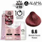 [Alama] SOS color & go 10 minutes 6.6 coloring 10min duo set 90 + 90 ml kit