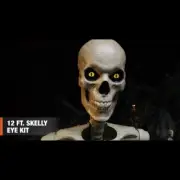 12 ft. Skeleton Skelly Eye Kit - Home Accents Holiday Halloween Home Depot