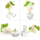 Night Lights Floral Lamp Colorful Little Night Light 3D Light For US EU Plug