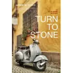 TURN TO STONE: AN ELLIE STONE MYSTERY