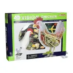 4D MASTER VISON模型/ 半透視雞/ 26003 ESLITE誠品