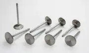 Manley Performance Products SBC S/D 1.600in Exhaust Valves 11539-8
