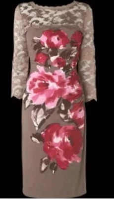 BNWT Phase Eight /8 Praline Rosie Lee Lace Dress Size 10---> £99