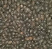 Kamal Gatta / Lotus Seeds / Beads Whole Beads -100% Original Laxmi Pooja 125g