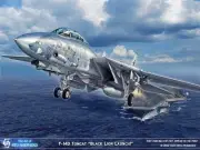 ART PRINT: F-14D Super Tomcat - Print by Shepherd