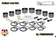 Kawasaki Ninja 1000 ABS MEF 2014 front brake caliper piston seal kit set ZX1000