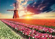 Educa - Tulips Landscape Puzzle 1500pc