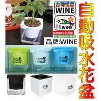 在飛比找蝦皮購物優惠-WINE台灣惟恩 微景觀 雙層 盆栽 花盆 多肉 盆栽 造景