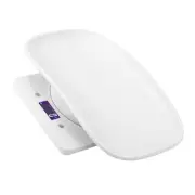 Kitchen Electronic Scale Small Mini Pet Scale Electronic Scale 10kg/1g (order Re