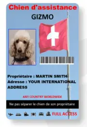 Service/Emotional support dog handler ID card INTERNATIONAL LISTING any country