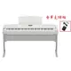 亞洲樂器 贈地毯 YAMAHA DGX-670 數位鋼琴 電鋼琴、(含單支踏板)、白色