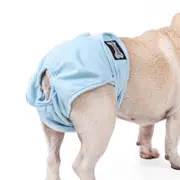 Female Sanitary Dog Nappy Graphene Underpants Diaper Pants Blue