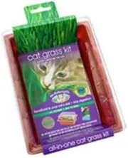 Mr Fothergill's CATG01 Cat Grass Sprouting Kit