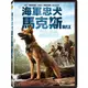 海軍忠犬馬克斯 MAX DVD