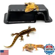 Pangea Reptile Hide Box (A - Mini 5.5"x3"x1.5") - Fits Most Standard Shoe Cas