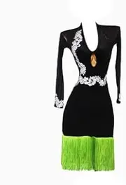 [JRUIA] Women's Embroidery Latin Dance Performance Dresses Tango Salsa Costume Ballroom Dress with Rhinestones Skirt for Rumba