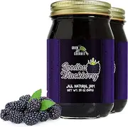 Green Jay Gourmet Blackberry Jam Seedless All Natural Fruit Jam with Blackberries and Lemon Juice Vegan, Gluten Free Jam Does Conti 2 Jars