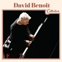 在飛比找蝦皮商城優惠-大衛貝努瓦 精選 David Benoit Collecti