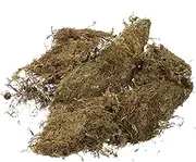 2 Packs Moss Habitat Flowerpot Moss Micro Scene Moss Micro Scene Moss Gardening Dried Moss Landscaping Dried Lichen Decorative Moss Flowerpot Dried Moss