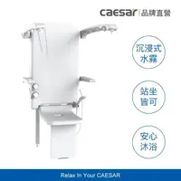 在飛比找momo購物網優惠-【CAESAR 凱撒衛浴】多功能 SPA 淋浴椅 SC106